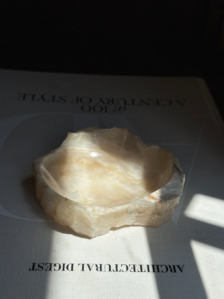 Amber Onyx Catchall