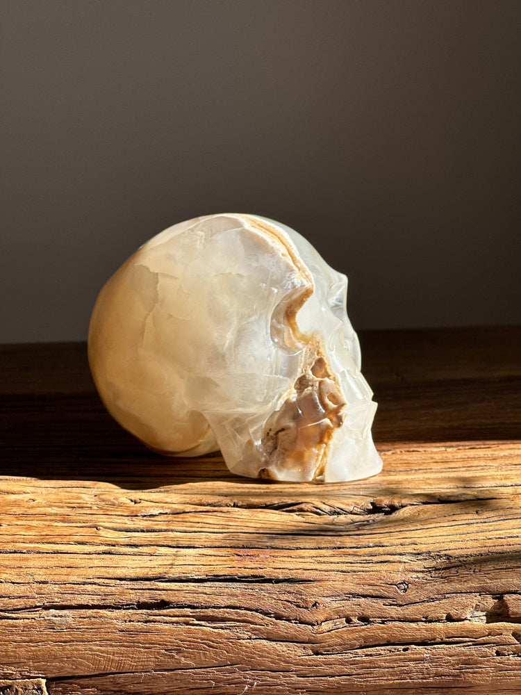 Amber Onyx Skull