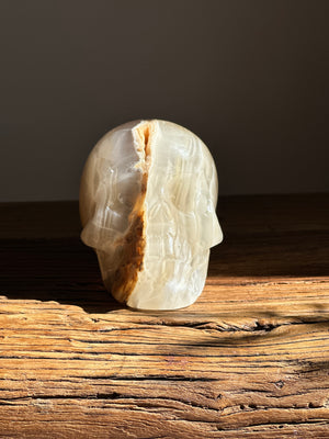Amber Onyx Skull