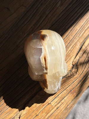 
            
                Load image into Gallery viewer, Amber Onyx Skull
            
        