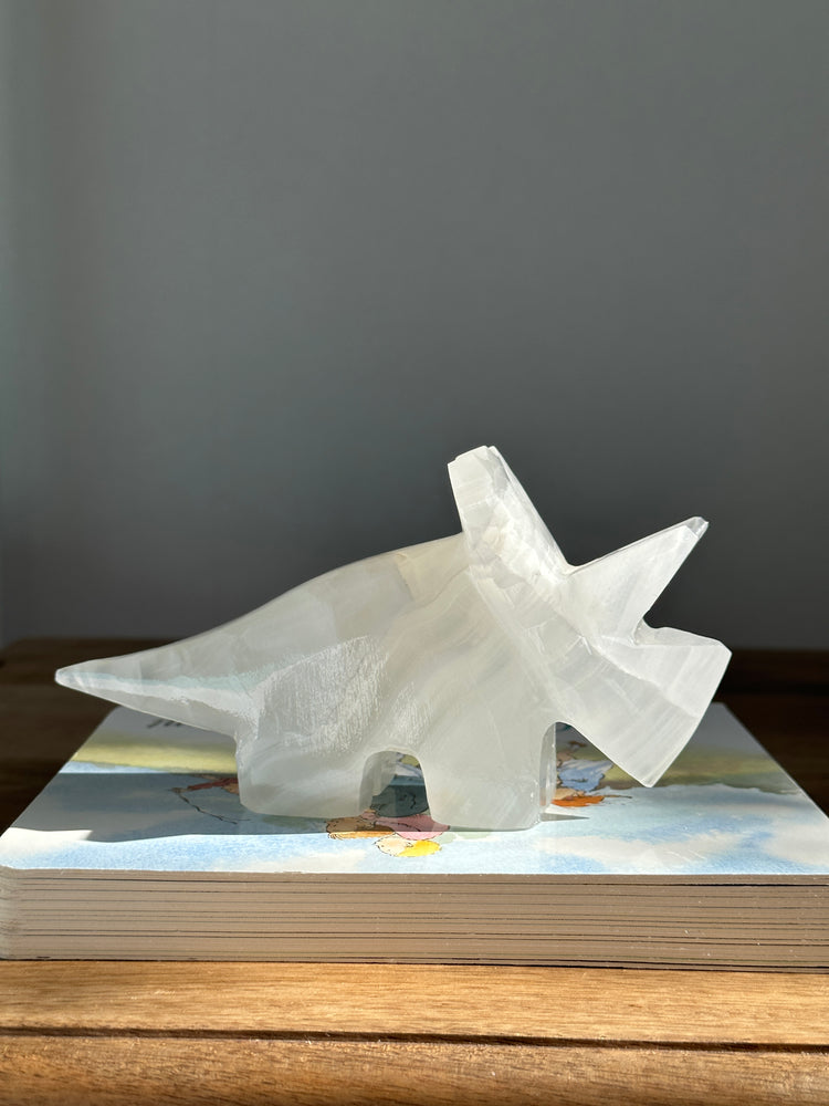 Triceratops Dinosaur Large