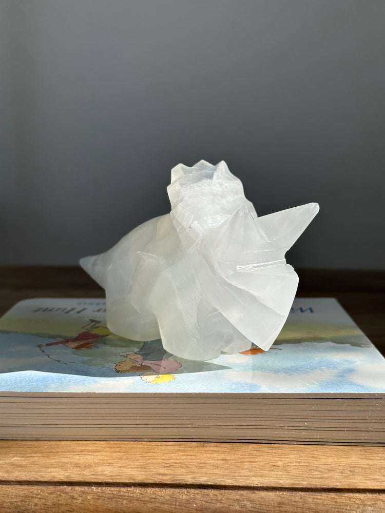 Triceratops Dinosaur Large