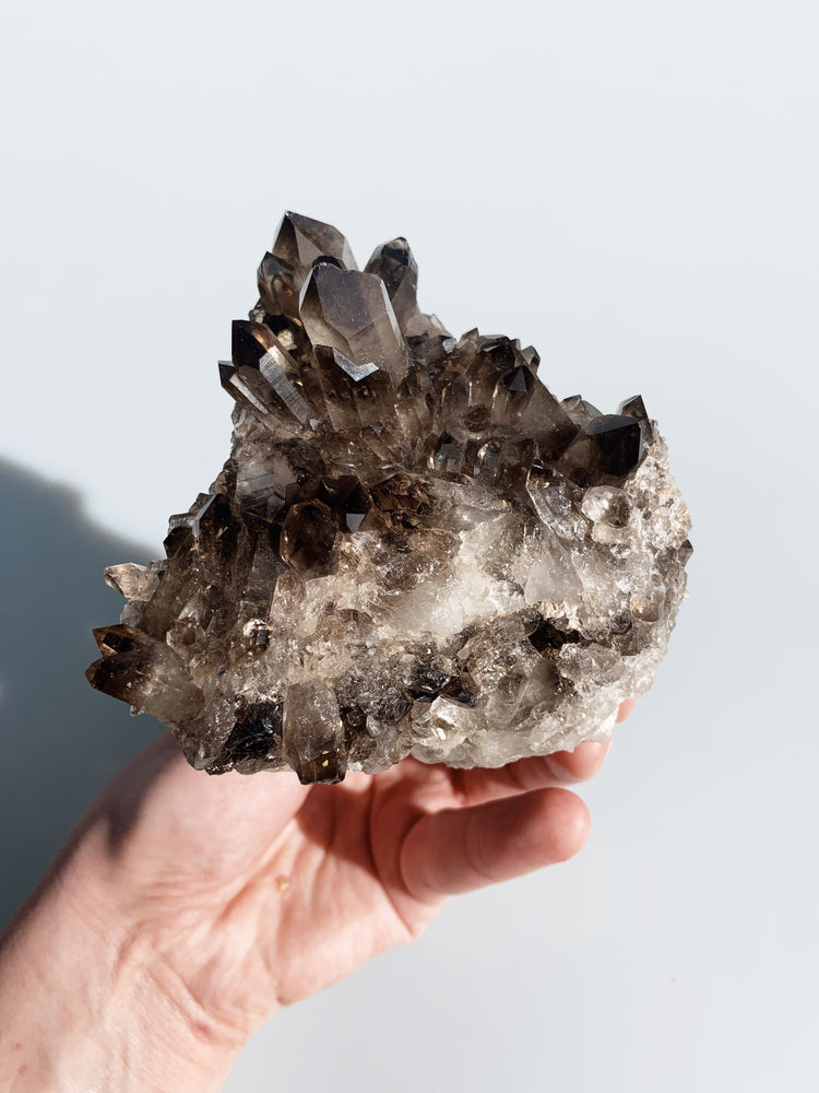 
            
                Load image into Gallery viewer, Smoky Quartz Cluster
            
        