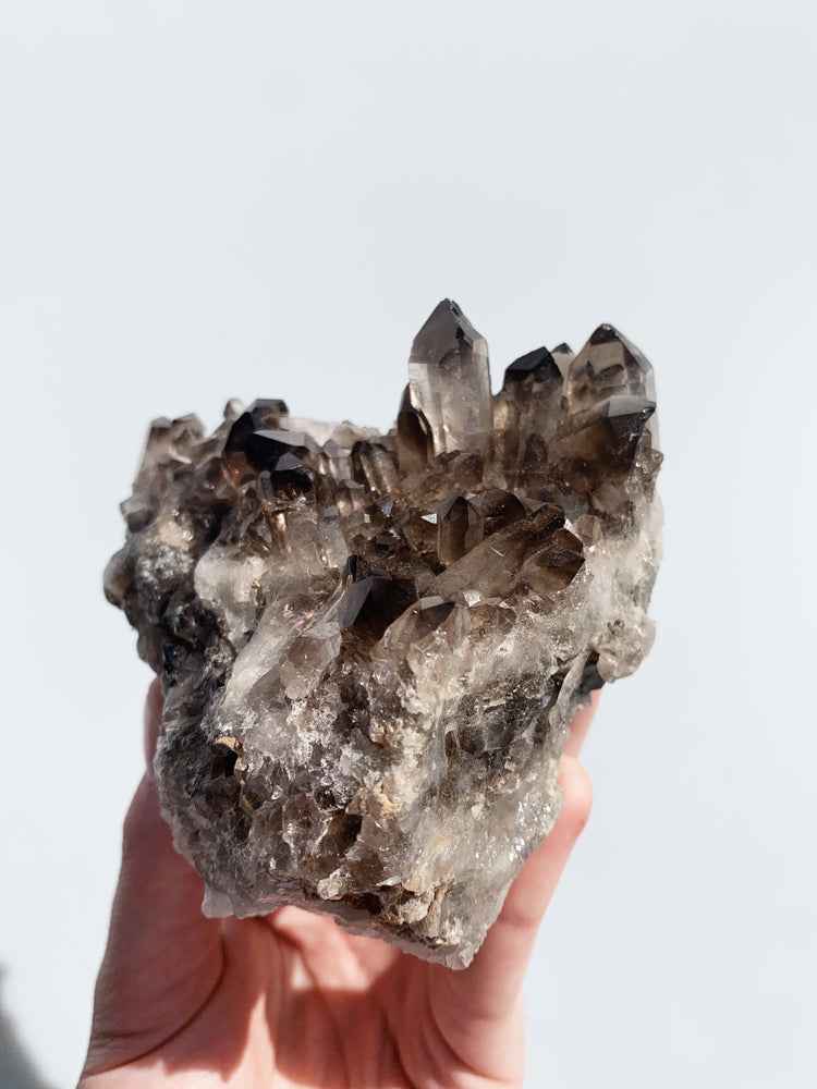
            
                Load image into Gallery viewer, Smoky Quartz Cluster
            
        